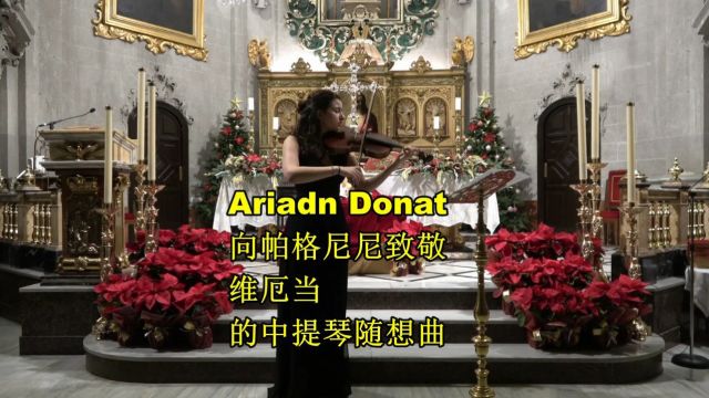 向帕格尼尼致敬维厄当的中提琴随想曲 Ariadna 演奏