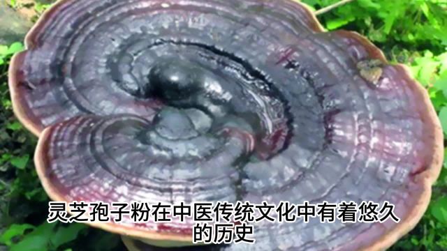 灵芝孢子粉哪个牌子最正宗