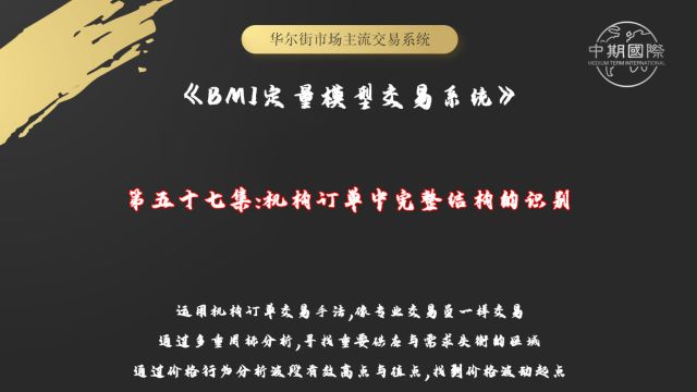 【BMI定量模型交易系统】机构订单中完整结构的识别