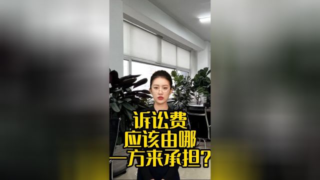 诉讼费应该由哪一方来承担?