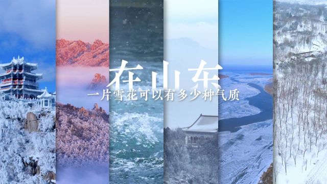 诗画山东|济南的文雅、威海的浪漫、临沂的壮阔……在山东,一片雪花可以有多少种气质?