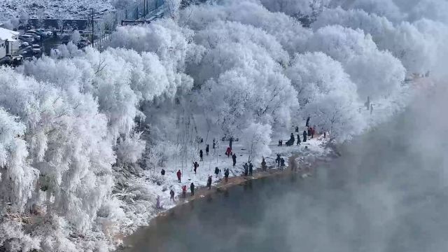 航拍!吉林再现雾凇景观:接天贲白无瑕地 烟浩浪漫独一城