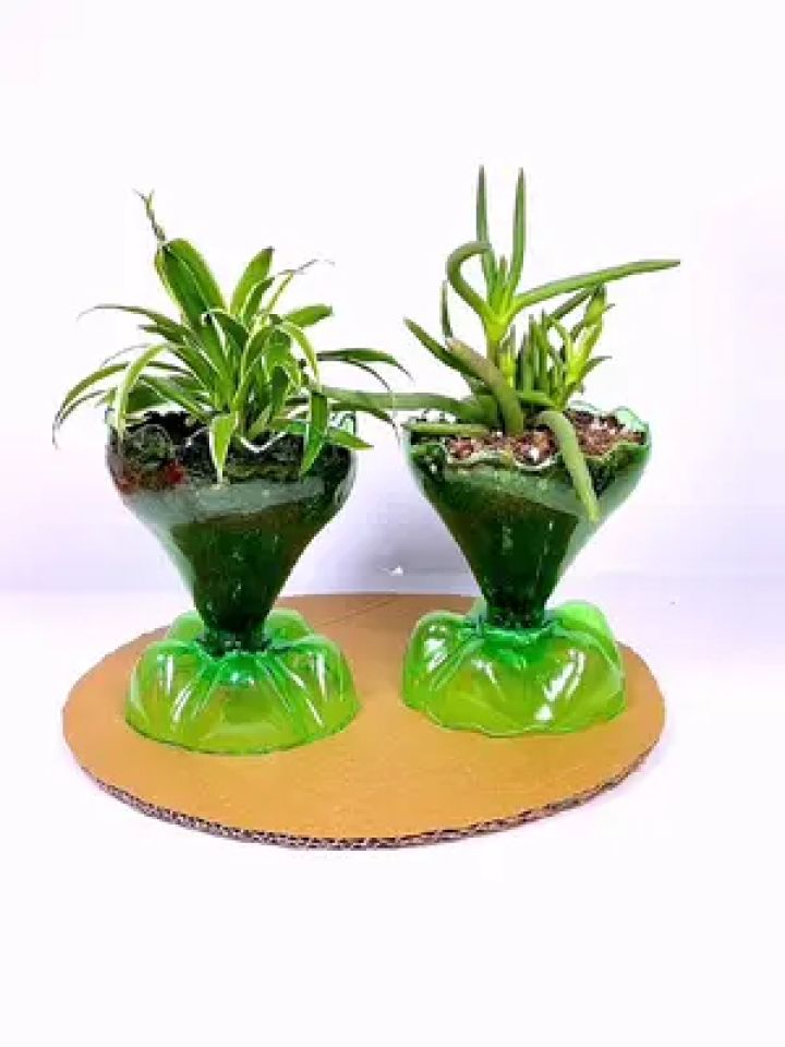 饮料瓶别扔,做个花盆摆在家里很好看#变废为宝 #自制花盆 #手工 #塑料