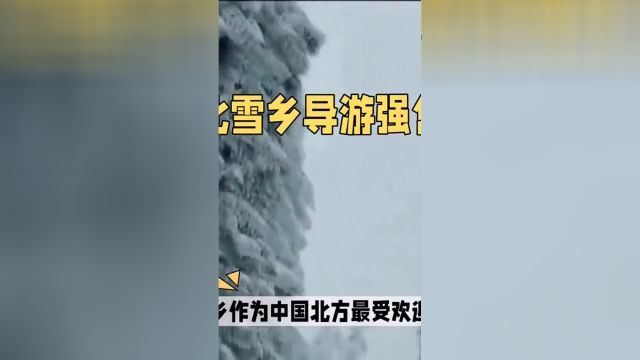 东北雪乡导游强售套票抖音看世界 社会百态 科普 旅游 哈尔滨