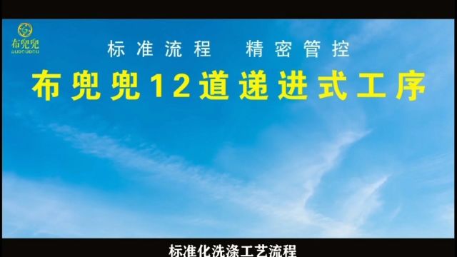 布兜兜洗衣12道递进式工艺流程