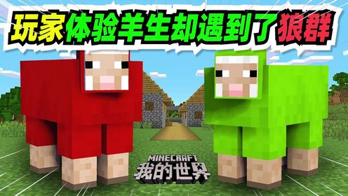 我的世界：玩家变成小羊体验“羊生”，却遇到了突袭的狼群！_高清1080P在线观看平台_腾讯视频