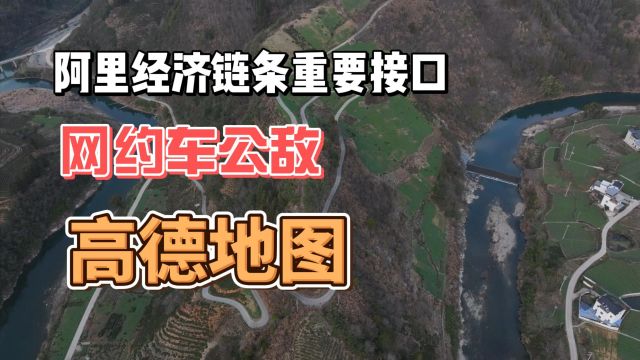 阿里经济链条重要接口 网约车司机公敌