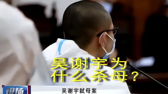 吴谢宇为何杀母?