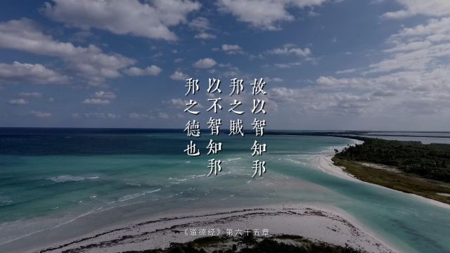 老子《道德经》第六十五章“故以智知邦,邦之贼;以不智知邦,邦之德也”公司只靠绩效考核以经济刺激为驱动力,一定会出问题