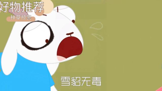 雪豹无毒