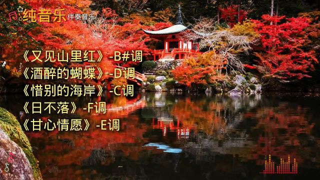 纯音乐,旋律优美的流行歌曲,伴奏车载音乐