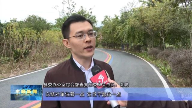 绿美丰顺大行动 县镇村三级干部表决心谈做法