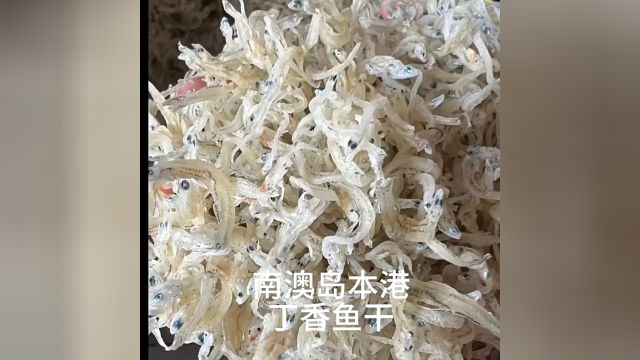 丁香鱼干