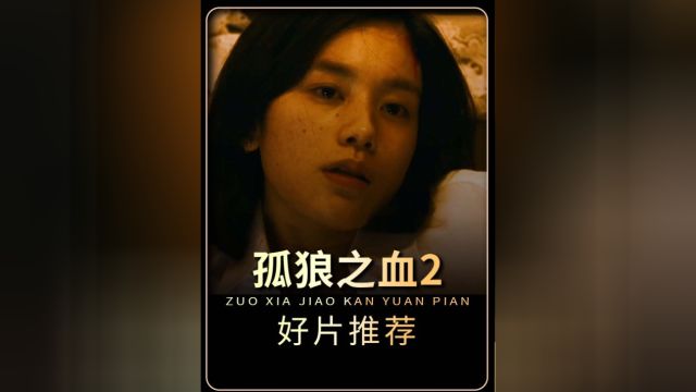 因为一个片段看了整部电影!《孤狼之血2》