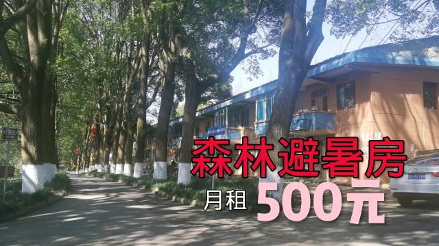 70平森林避暑房每月只要500,钓鱼免费,露营免费,你说值不值?