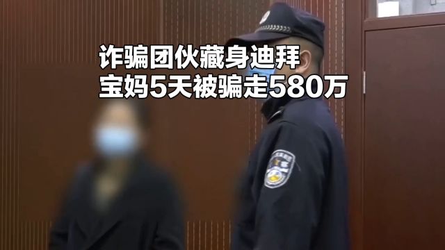 诈骗团伙藏身迪拜,宝妈加入刷单群,5天被骗走580万