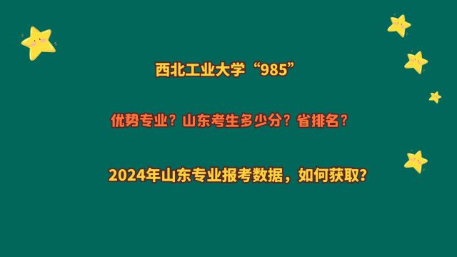 西北工业大学“985”,山东考生多少分?2024山东专业报考数据