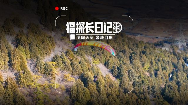 越过城市,翻过山丘,福探长用自己的方式与风同行