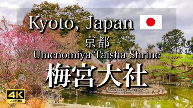 日本旅行 京都的梅宫大社,美丽的日本庭院