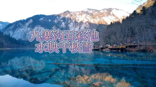 九寨沟五彩池 九寨沟五彩池 湖水倒映着远处山顶的千秋雪.五彩池海拔3010米,由于池底沉淀物的色差以及池畔植物色彩的不同,湛蓝色的湖面呈现五彩斑...