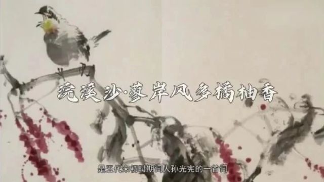 古诗词文赏析之古词《浣溪沙ⷨ“𜥲𘩣Ž多橘柚香》孙光宪