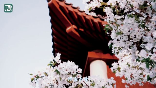 今日雨水,准备好迎接校园春景,上春山赏春光了吗