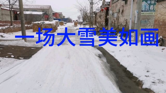 一场大雪美如画