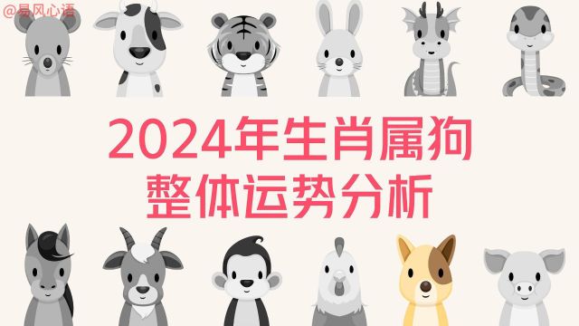 2024年生肖属狗整体运势分析