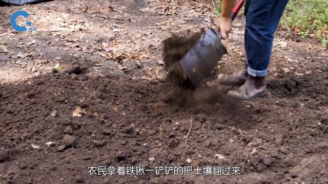 国外发明神奇翻土机器,6张铁铲一同工作