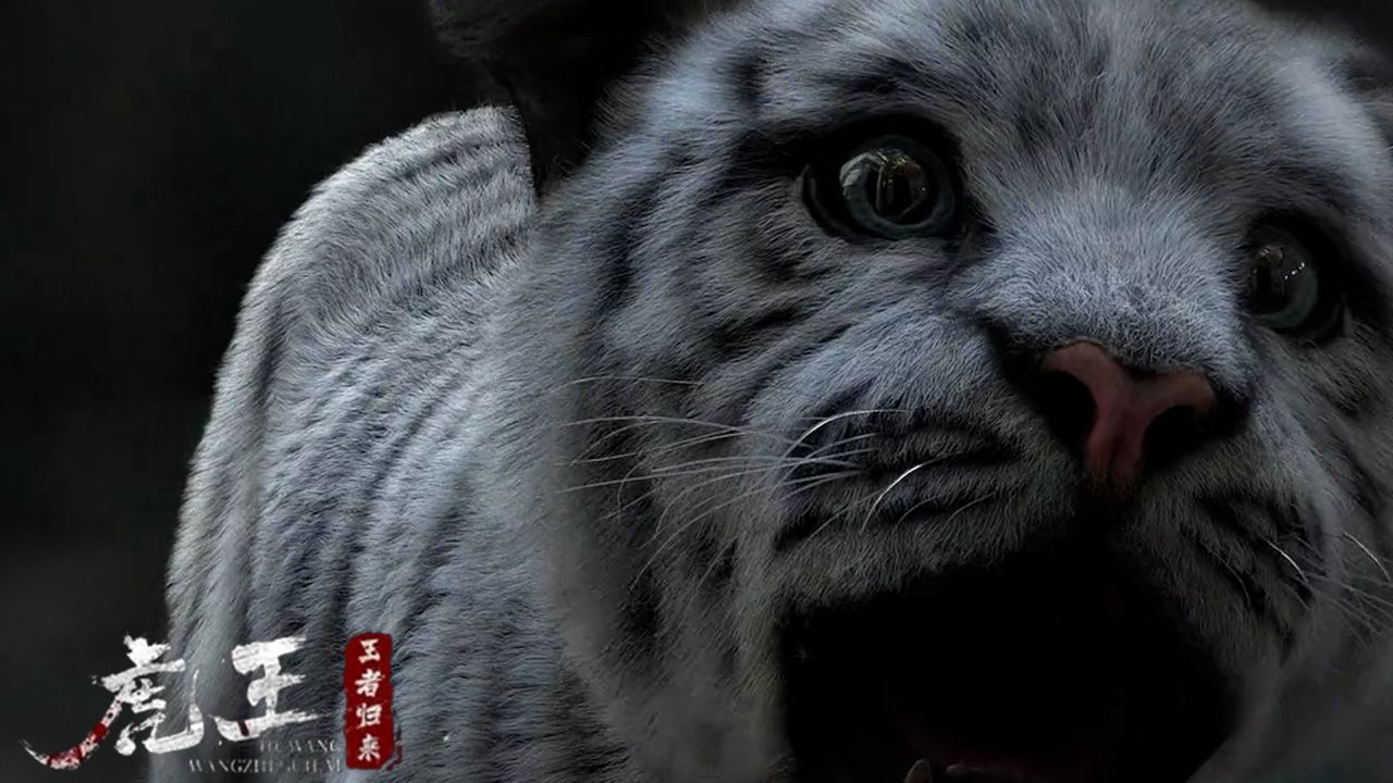 《虎王·王者归来》白虎的神秘力量,究竟源自何处