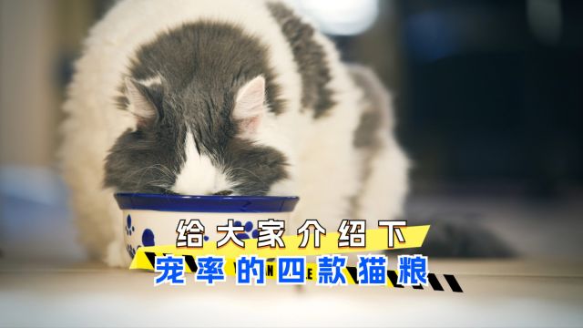 给大家介绍下宠率的四款猫粮