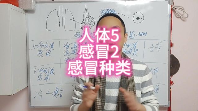 人体5感冒分类