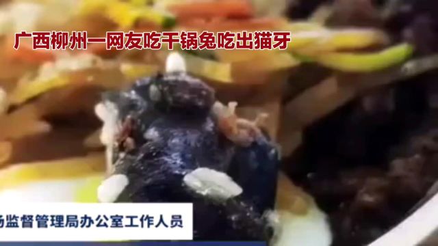 广西柳州一网友吃干锅兔吃出猫牙