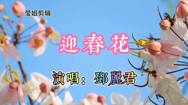 《迎春花》演唱邓丽君,经典老歌,清纯甜美,百听不厌