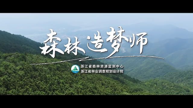 落入林间 | 森林造梦师