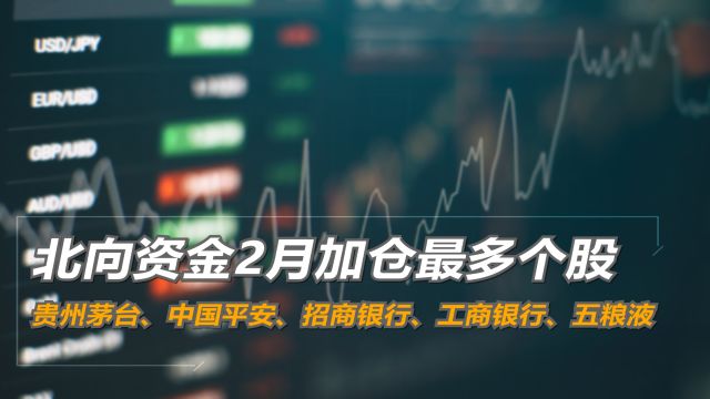 北向资金2月加仓最多个股:贵州茅台、中国平安、招商银行、工商银行、五粮液