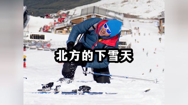 东北下雪天就是呲溜滑#下雪就得这样玩 #雪地里撒欢