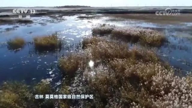 央媒眼中的吉林(2024.3.5)| 代表委员建言献策 共襄吉林振兴发展