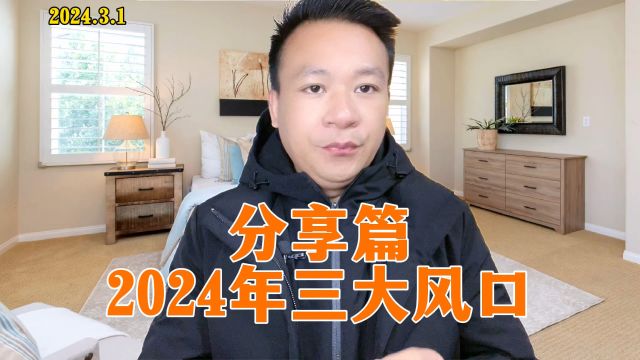 2024年普通人的大三大赚钱风口.