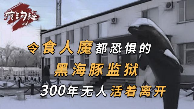 令食人魔都恐惧的黑海豚监狱,没有任何酷刑,却让犯人生不如死!