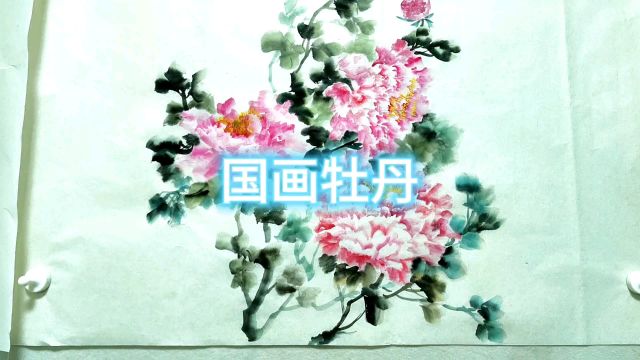 粉色牡丹花你喜欢吗?