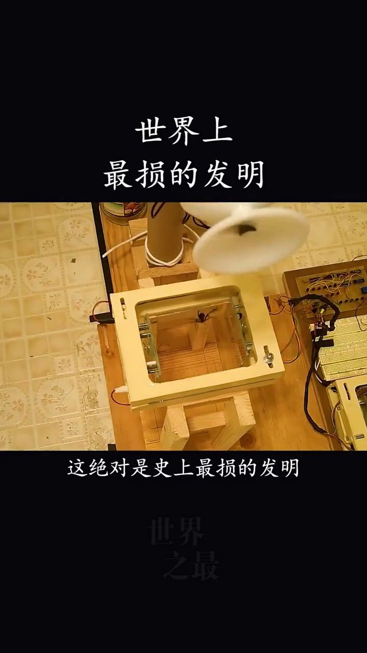 世界上最损的发明,蛛丝采集器,让蜘蛛体验一把身体被掏空的感觉!