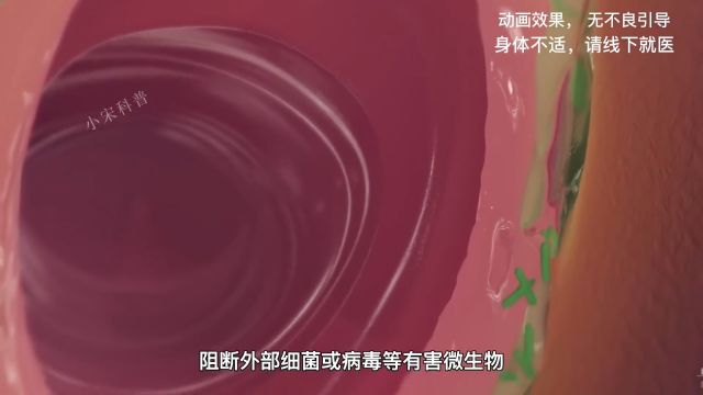 关于处女膜的认知,你知道多少?