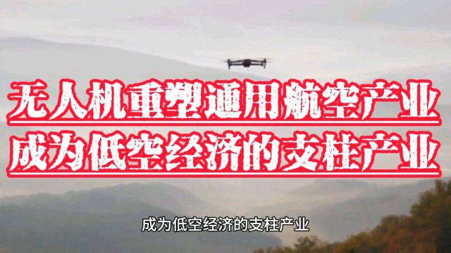 无人机重塑通用航空产业,成为低空经济的产业支柱