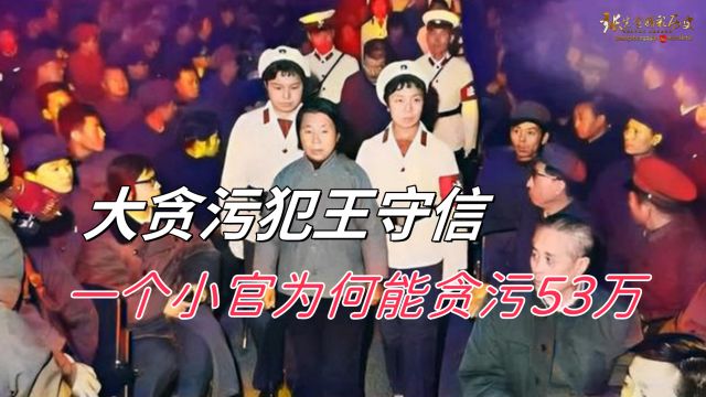 “建国以来最大贪污犯”王守信,一个小官为何能贪污53万