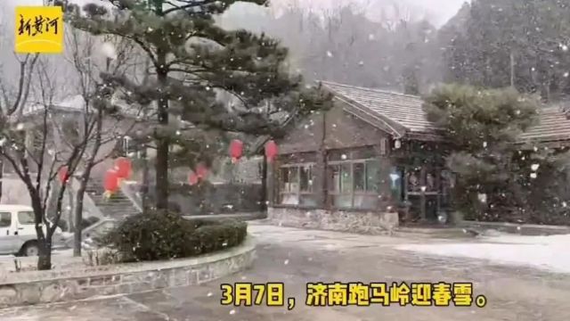 今天,济南这儿下雪了,局地雷雨或阵雨,最新预报→