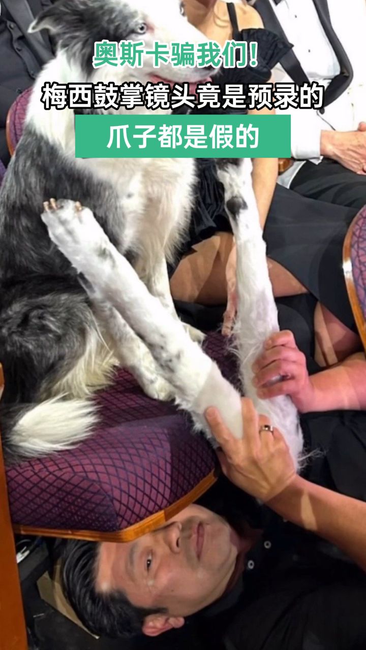 奥斯卡颁奖礼狗狗梅西鼓掌:画面是预录的,有人躺地拿假狗爪鼓掌