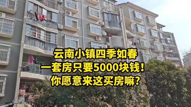 云南小镇四季如春,一套房只要5000块钱!你愿意来这买房嘛?