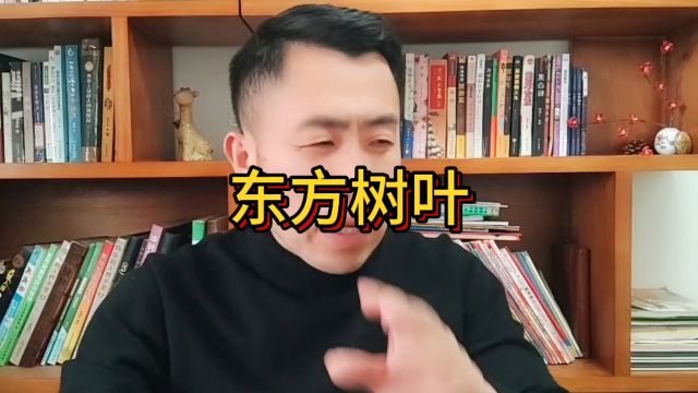 东方树叶,你怎么看?