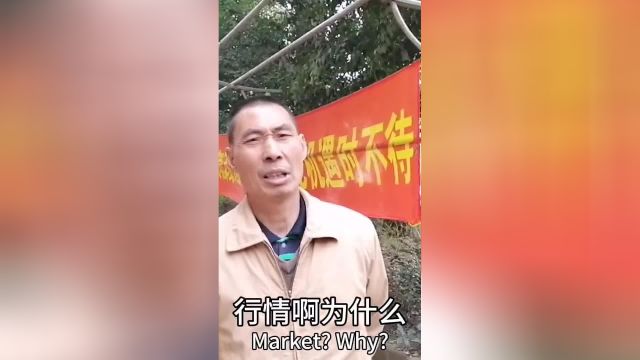 江苏大哥在上海收废品30年现在一月赚多少,说外地人在上海很难混